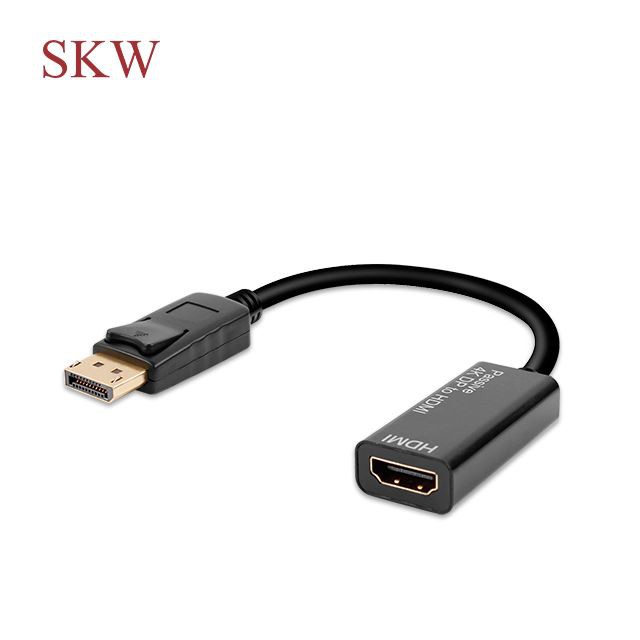 DP–HDMI adapter
